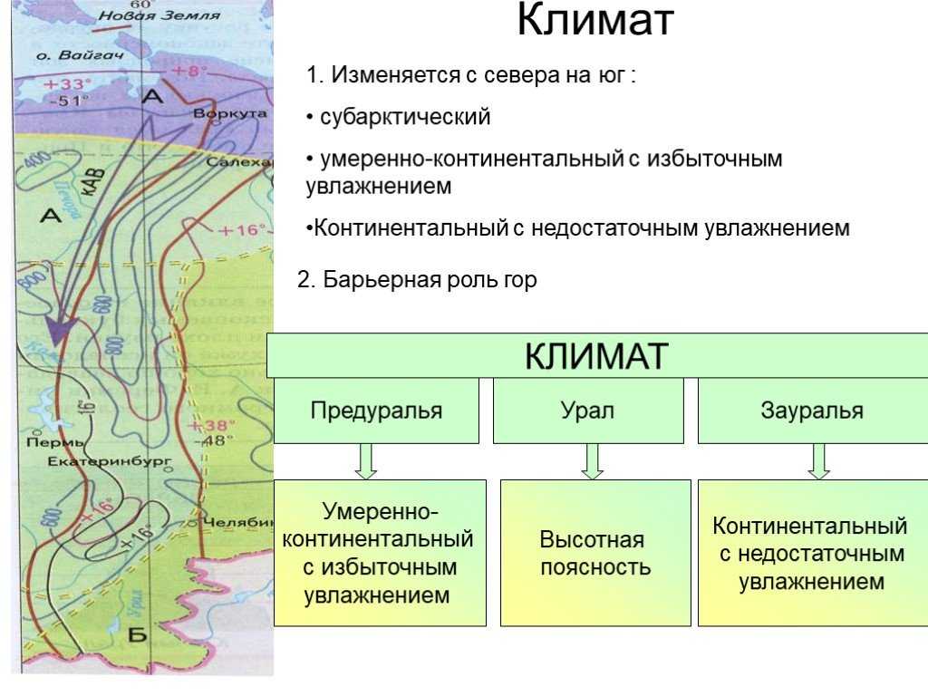Уральский регион. географическое положение, основные черты природы 9 класс онлайн-подготовка на ростелеком лицей |