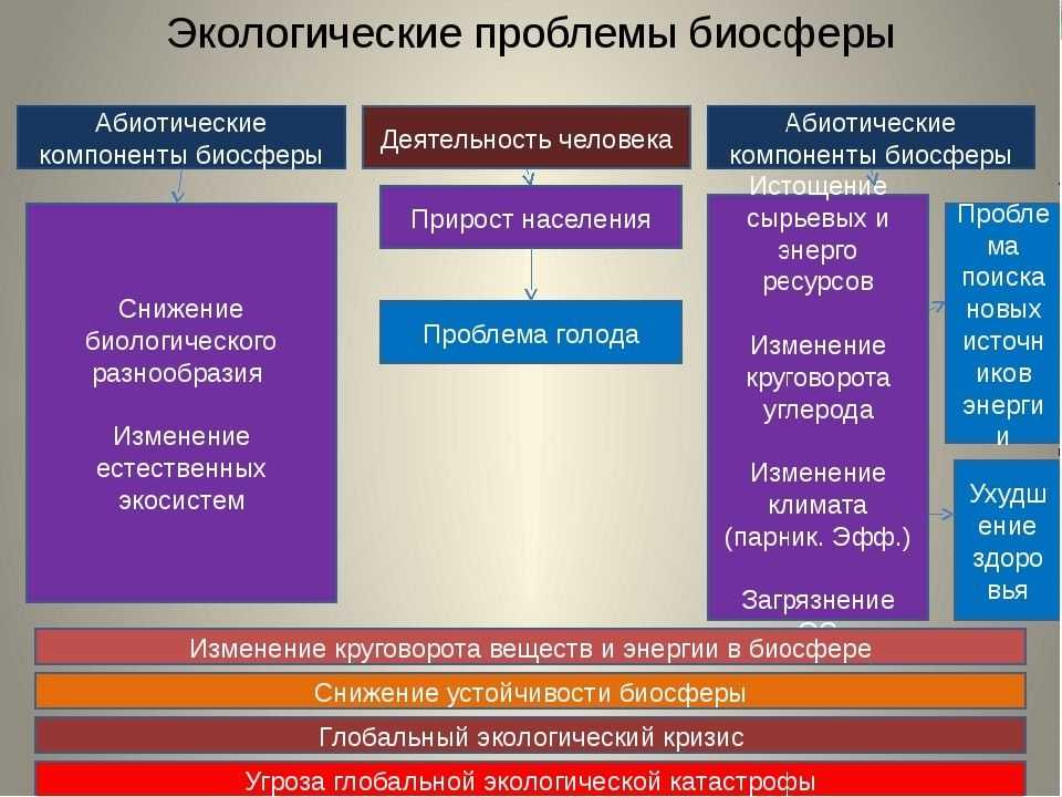 Конспект "глобальные изменения в биосфере" - учительpro