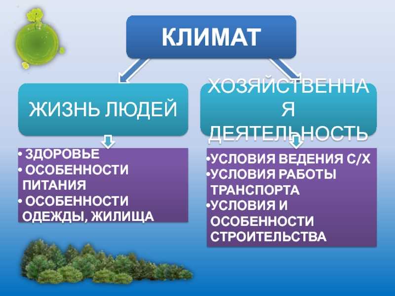 Изменение климата и здоровье: последствия и риски, последние исследования ~ slovesa - журнал о развитии