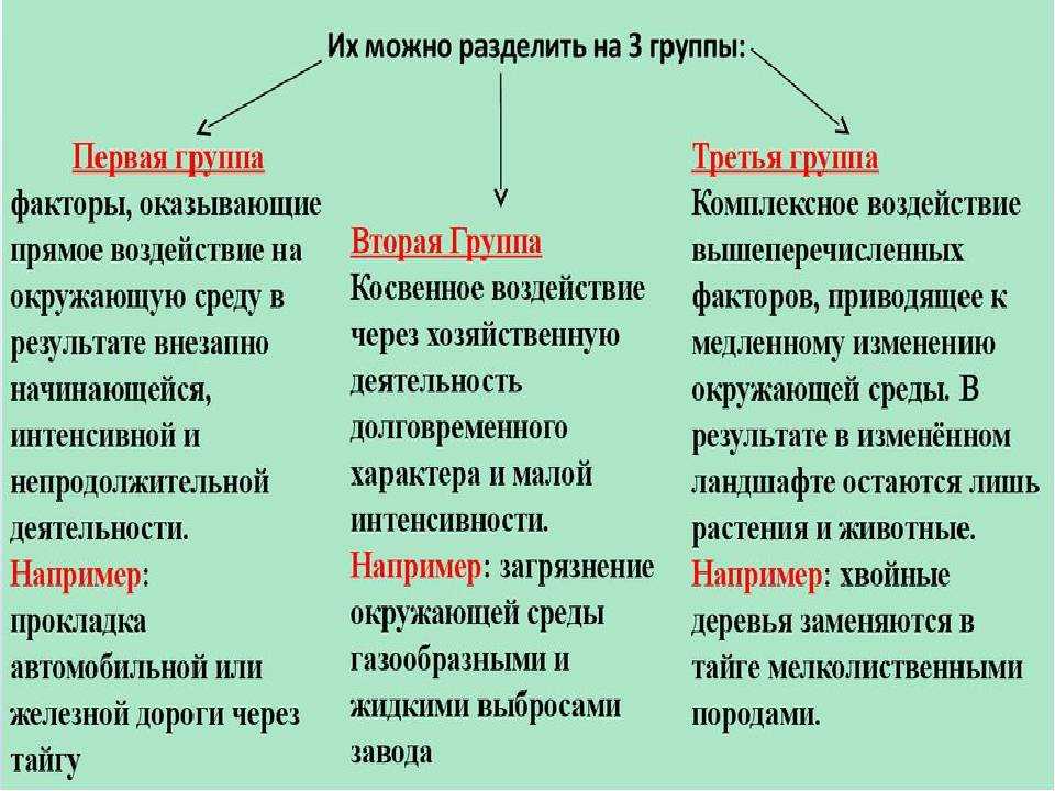 Антропогенная деятельность человека кратко