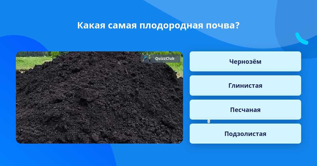 Географическое положение черноземов почв в россии