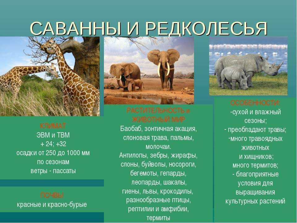 Природные зоны северной америки