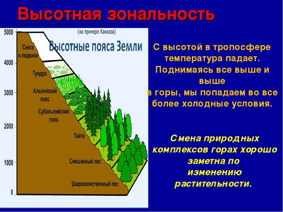 Причина изменения природных зон. Природные зоны ВЫСОТНОЙ поясности. Области ВЫСОТНОЙ поясности пояс. Широтная зональность и Высотная поясность. Климат ВЫСОТНОЙ поясности в России.