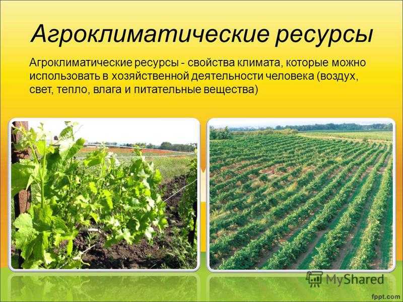 Агроклиматические ресурсы земли - что это такое?