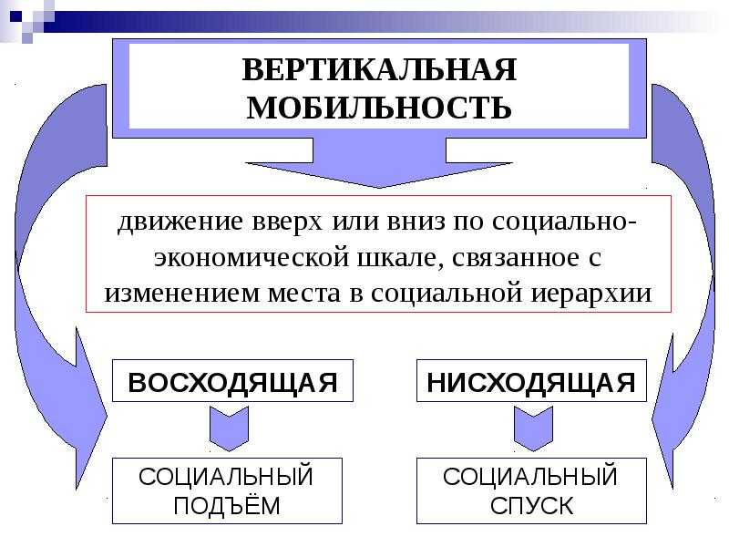 Что такое социальная и пространственная мобильность: объяснение и примеры