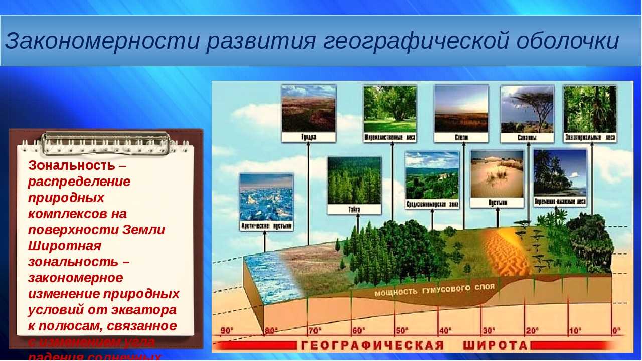 План характеристика природного комплекса