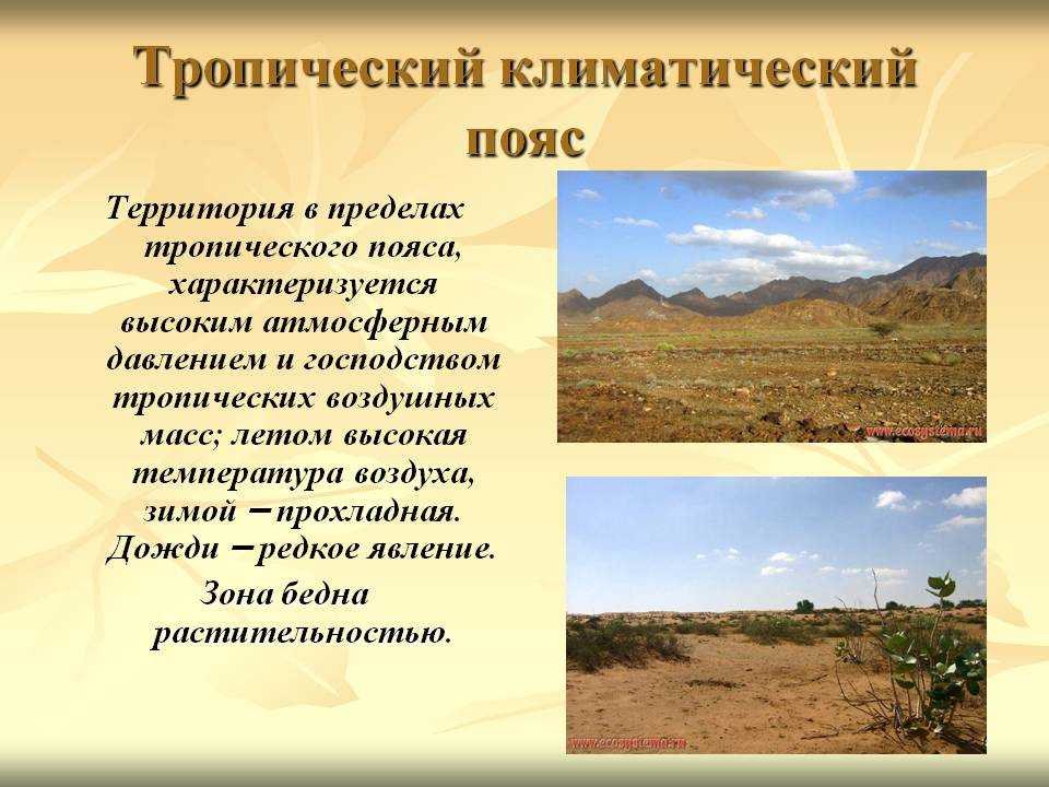 Погода и климат,  типы климата. климатические пояса