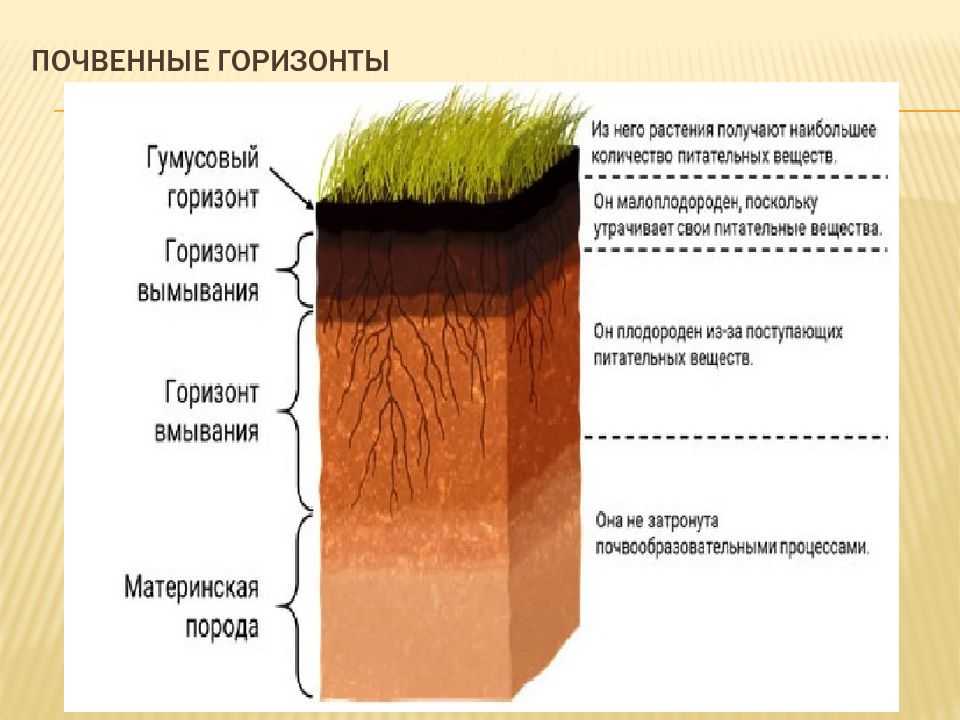 Почвенно-географическое районирование
, том 2 @ национальный атлас россии