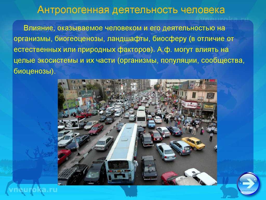 Антропогенное воздействие на составляющие биосферы Антропогенное воздействие на составляющие биосферы – это влияние производственной и непроизводственной