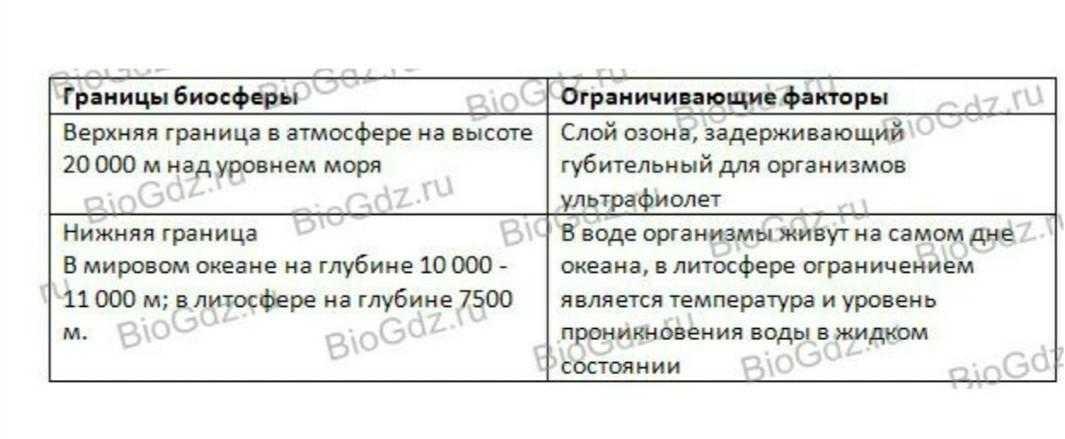Биосфера – глобальная экосистема. учение в.и. вернадского о биосфере. живое вещество, его функции. особенности распределения биомассы на земле / справочник :: бингоскул