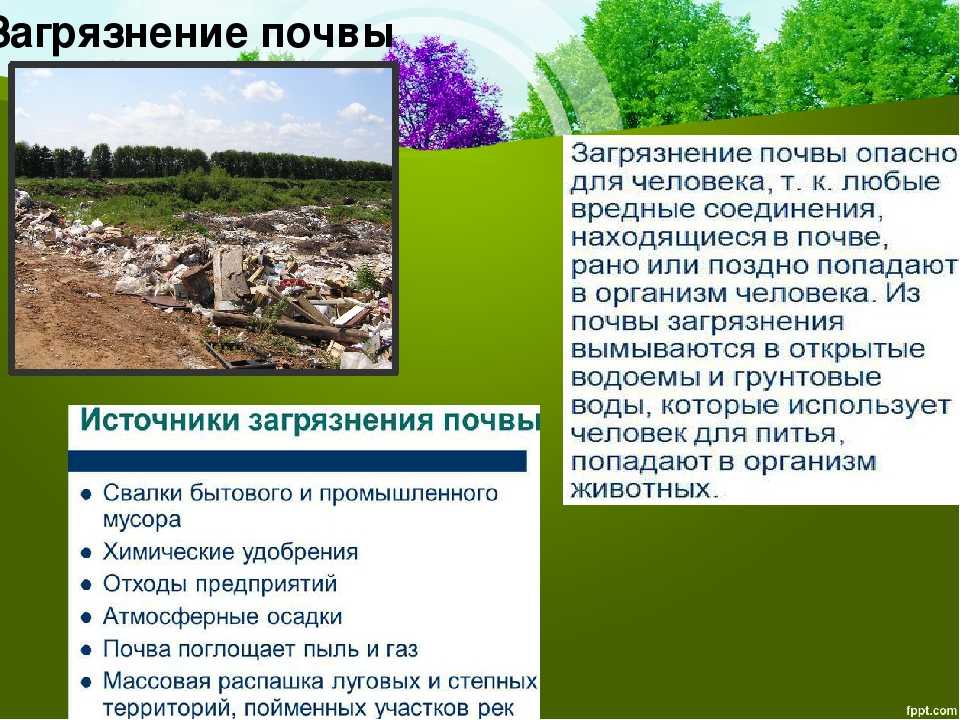 Влияние человека на окружающую среду