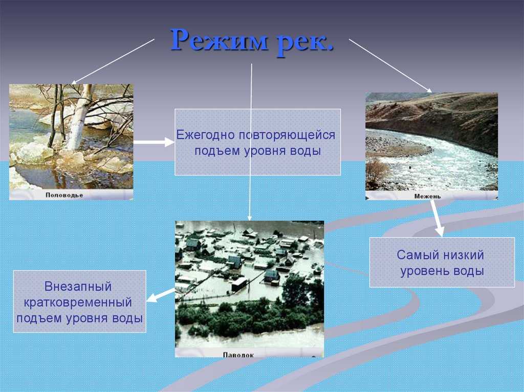 К какой речной системе относится река амазонка. к какой речной системе относится река амазонка? | дорога знаний