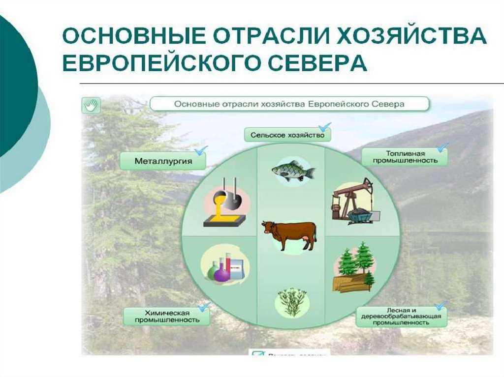 География