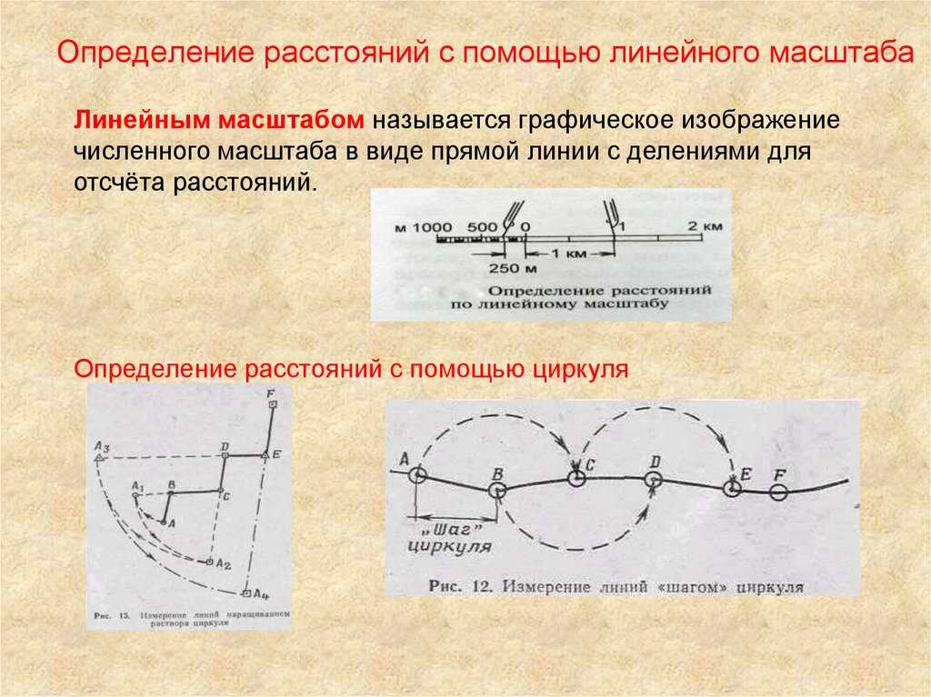 Измерение расстояний и определение площадей по топографической карте, численный, линейный и поперечный масштаб. | выживание в дикой природе