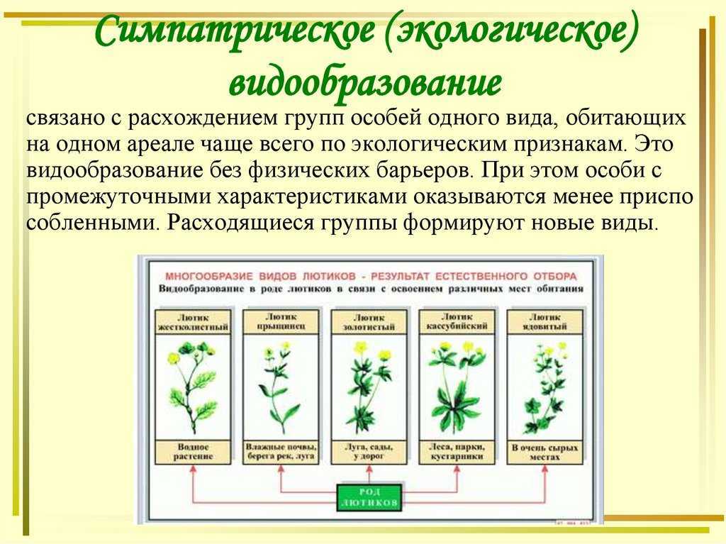Эволюция видообразования по чарльзу дарвину | мы и космический разум