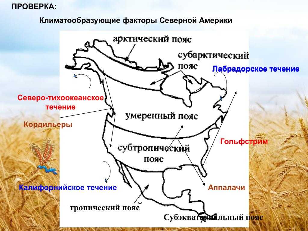 Течения тихого океана: теплые и холодные массы воды, список основных океанических потоков