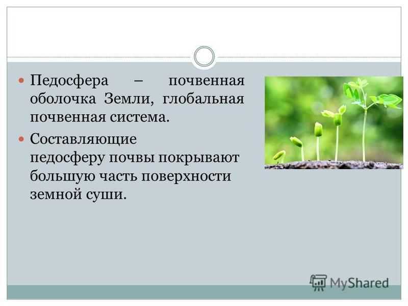 Педосфера