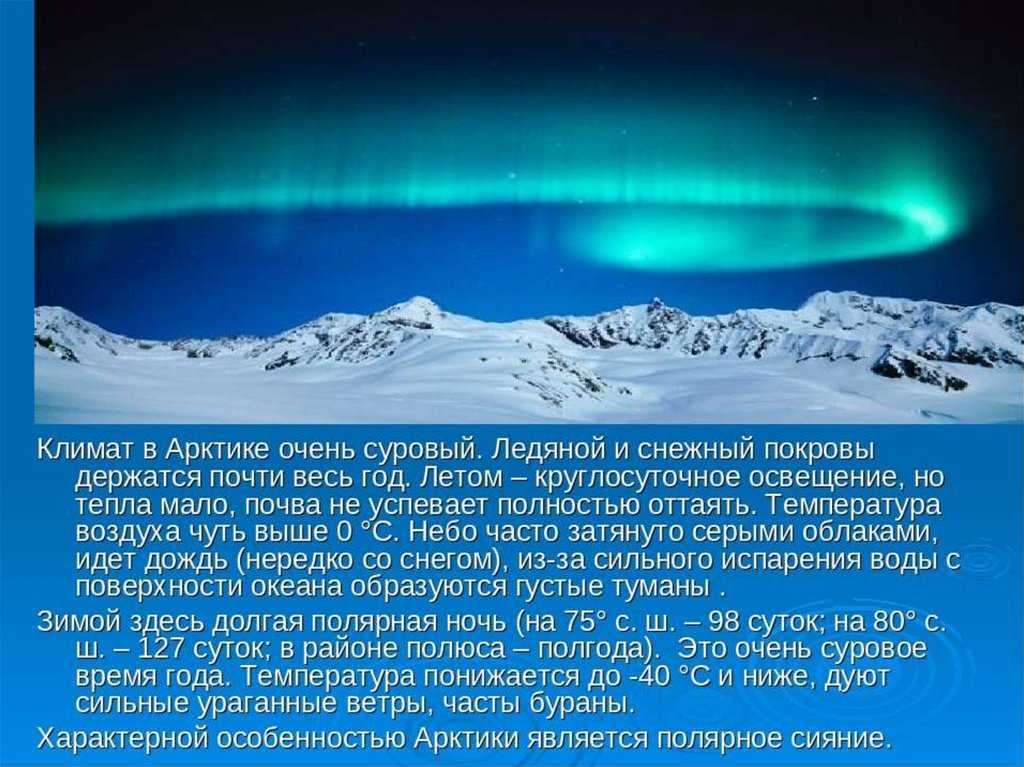 Характеристика природной зоны арктической пустыни — природа мира