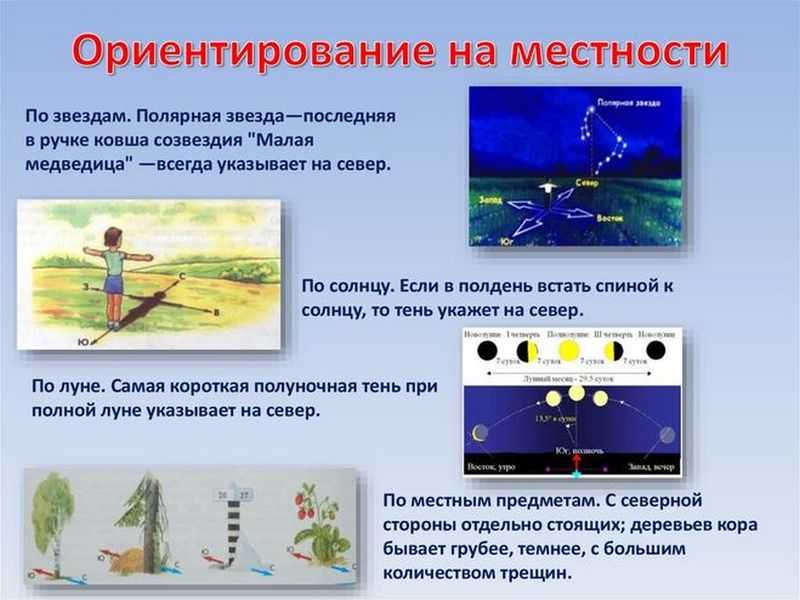 Ориентирование карты по компасу, по линии местности, по направлению на ориентир, способы опознания ориентиров. | выживание в дикой природе