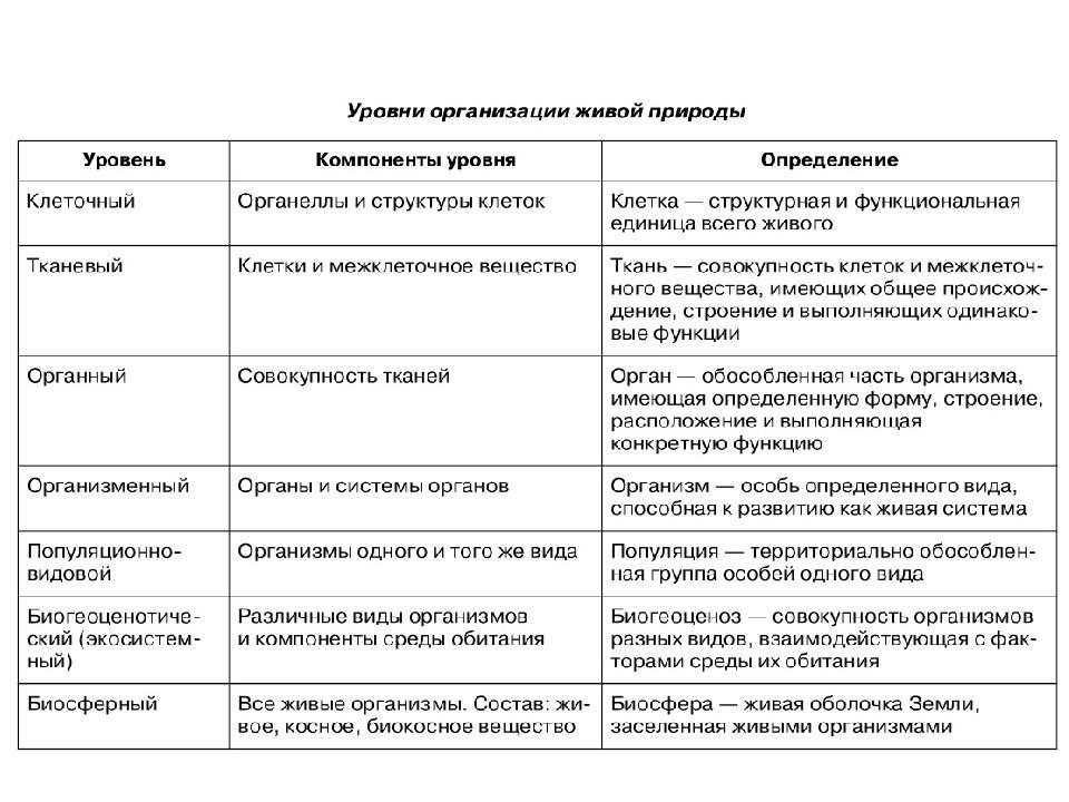 Уровни организации живой материи