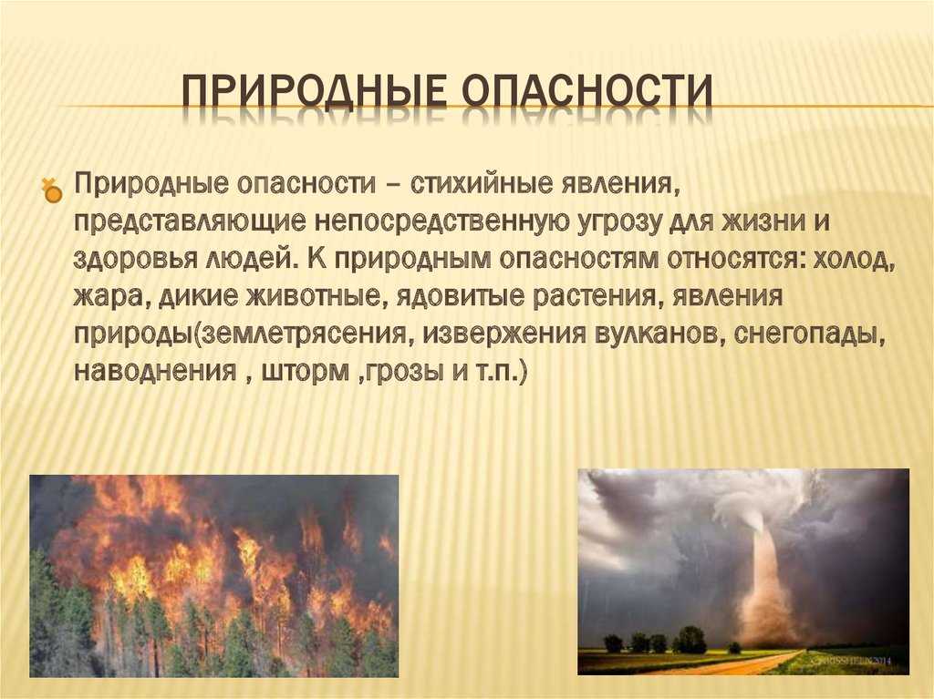 Реферат на тему: чс природного характера