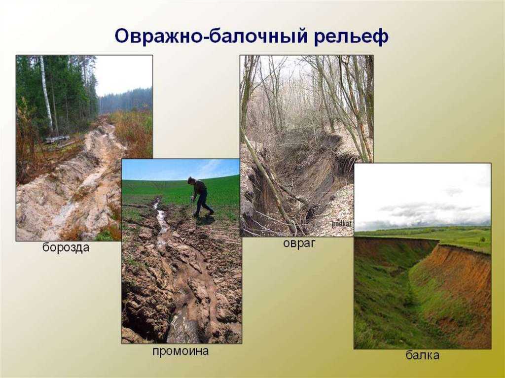 Овраг: особенности формы рельефа и процессы его образования