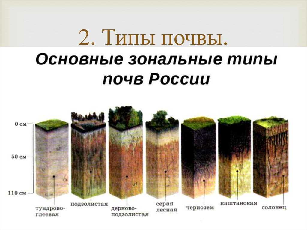 Почвы россии