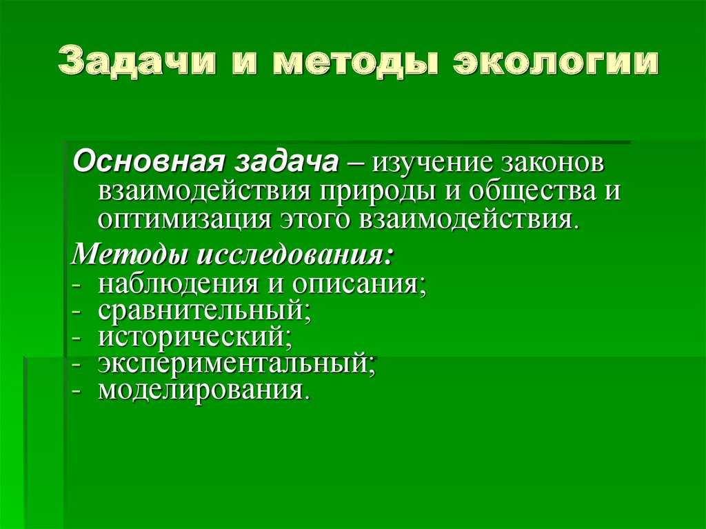 Экосистема⭐️: определение, ее структура, признаки и формирование