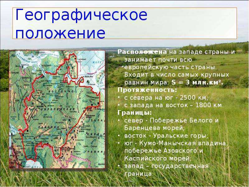 Восточно европейская равнина особенности механического состава почв