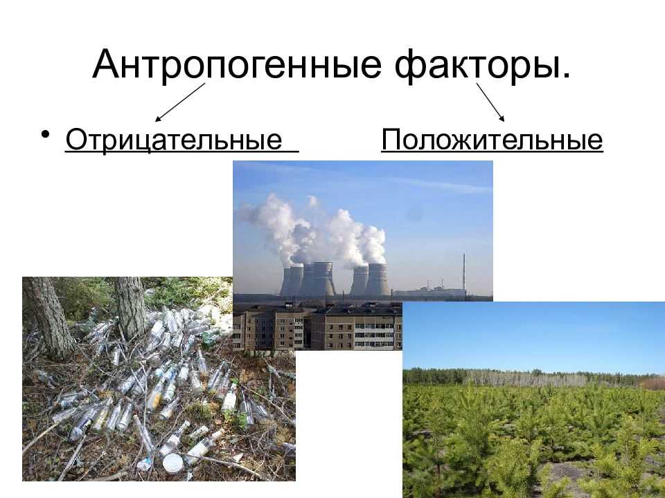 Антропогенные факторы воздействия на природу (с примерами)