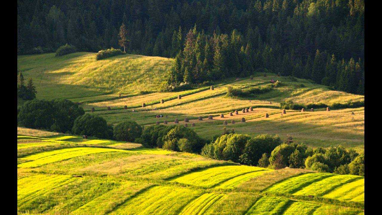 Польша