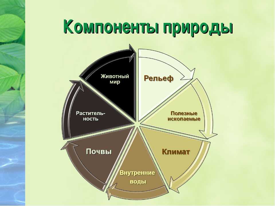 Географическая оболочка