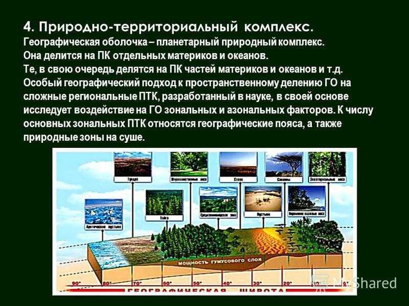 План характеристика природного комплекса