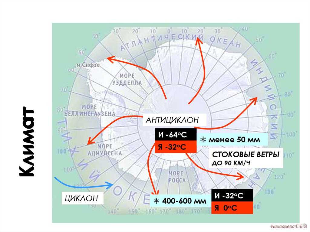 Чем отличаются арктика, антарктика и антарктида?