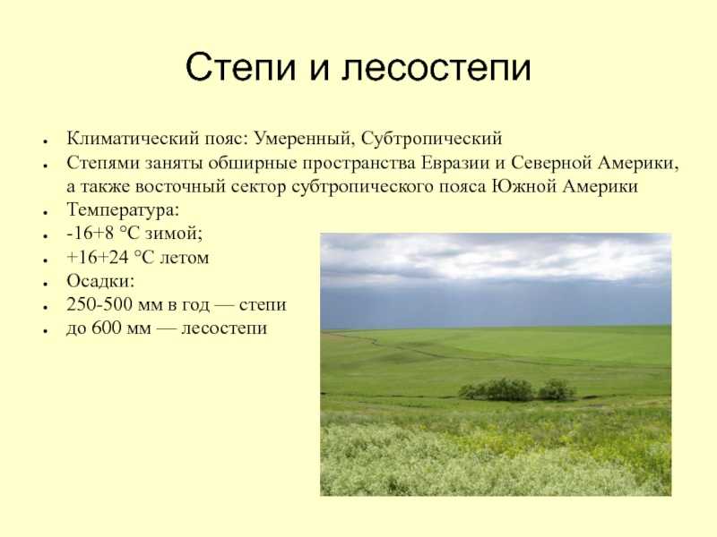 Степи и лесостепи – природа, зоны, особенности, характеристики, климат