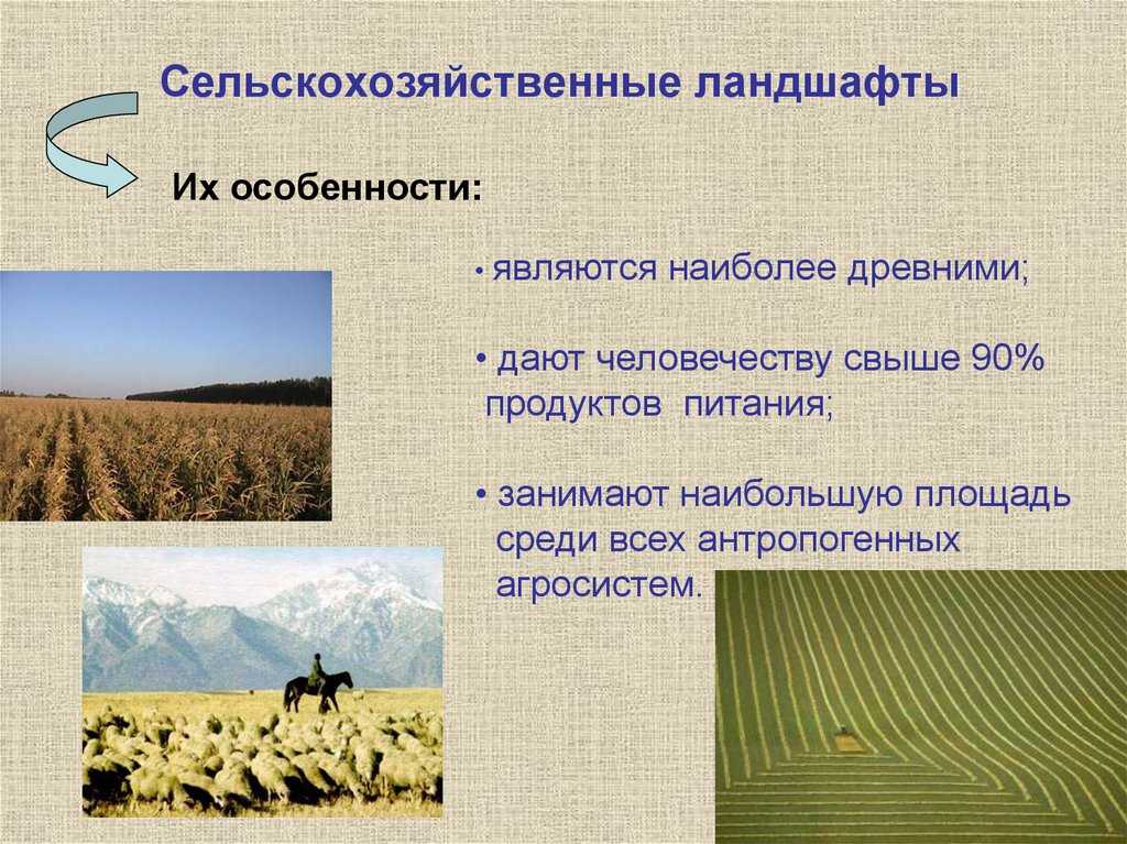 Естественный ландшафт