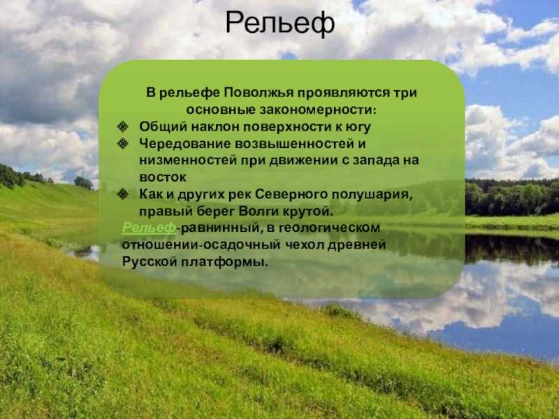 Пространство Поволжья По обоим берегам реки Волги, на юго-востоке европейской части России находится один из крупных экономических регионов страны –