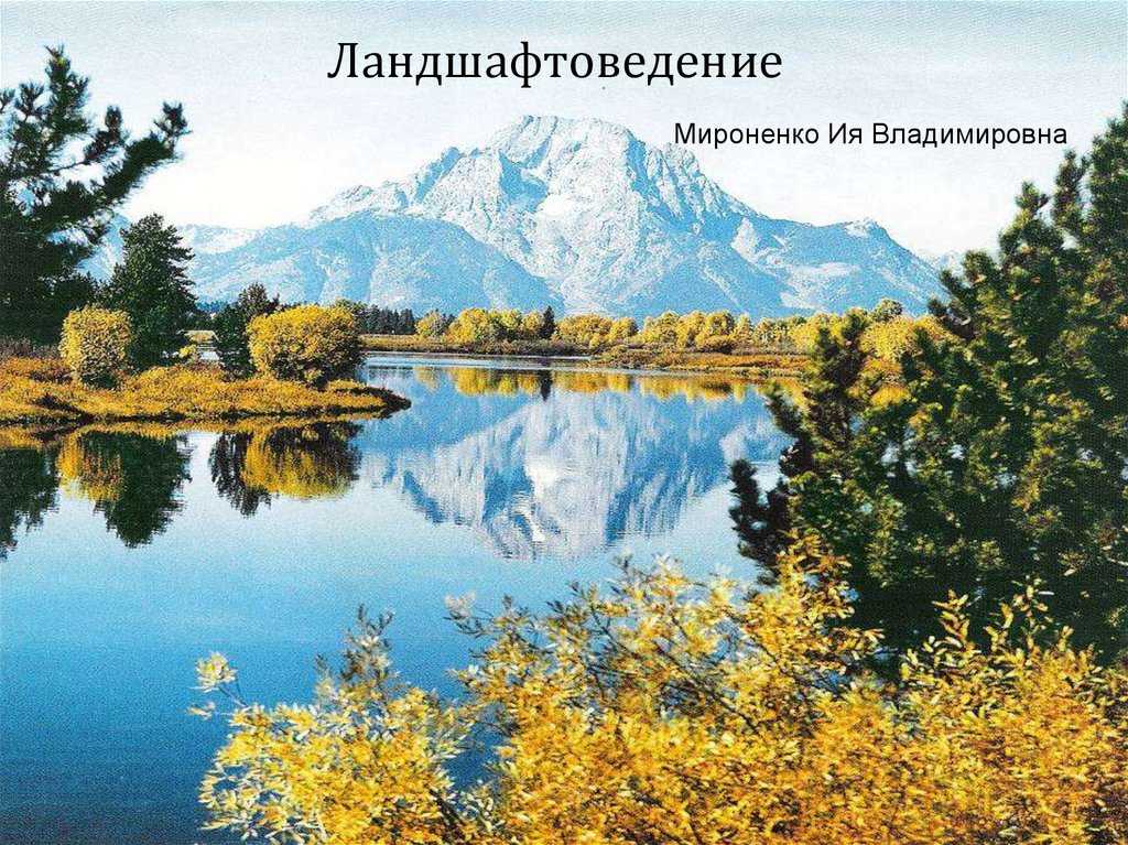 Тропические и субэкваториальные ландшафты кратко