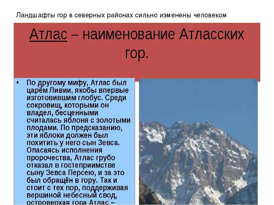 Понемногу: описание восточно-европейской равнины по плану, 5 класс