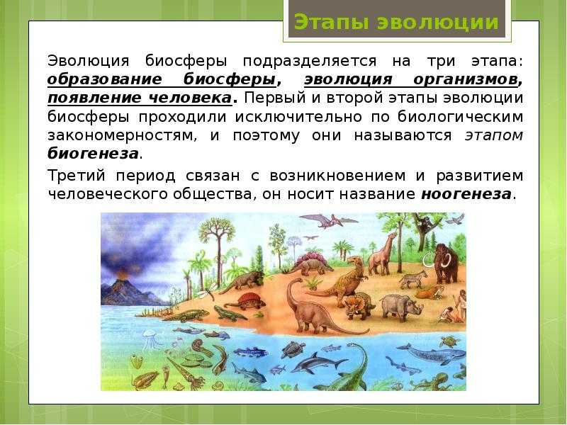 Биосфера. круговорот веществ в биосфере. глобальные изменения в биосфере.