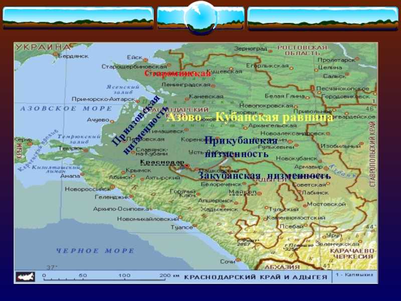 Реферат на тему прикубанская равнина