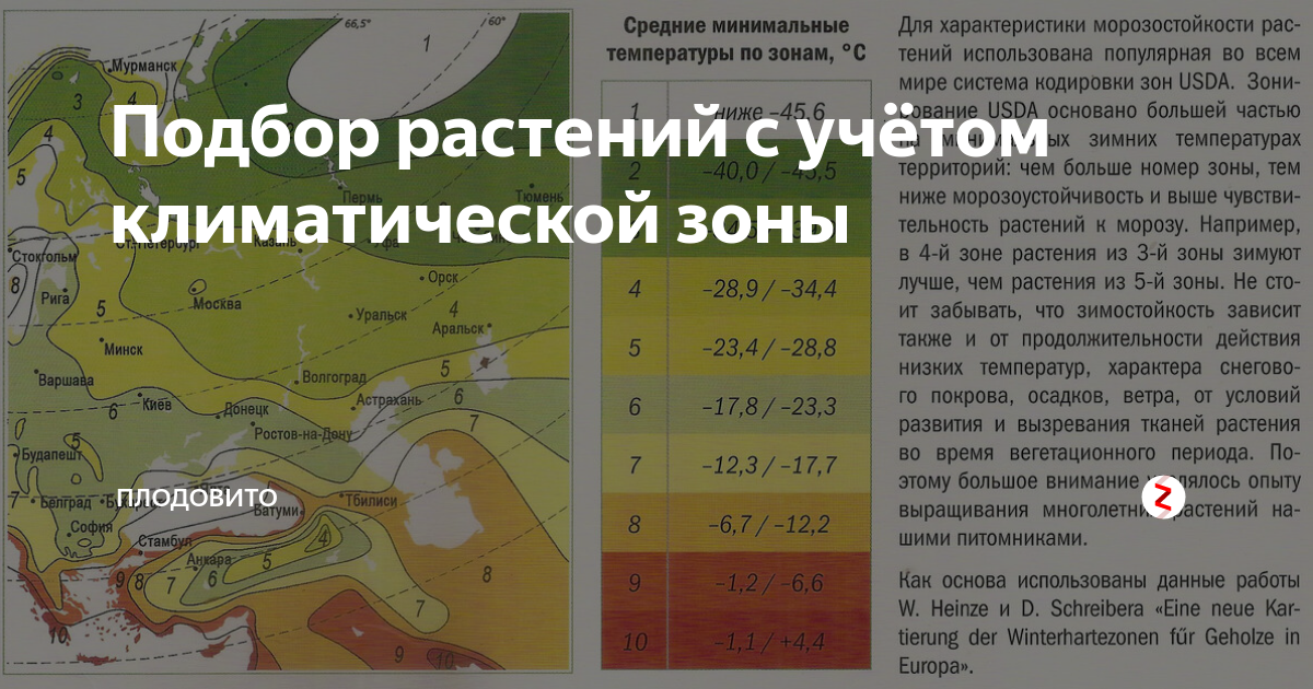 Климатические пояса россии