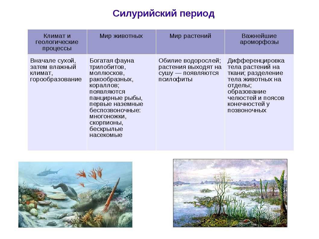 Геологическое строение россии ️ географическое положение  структур