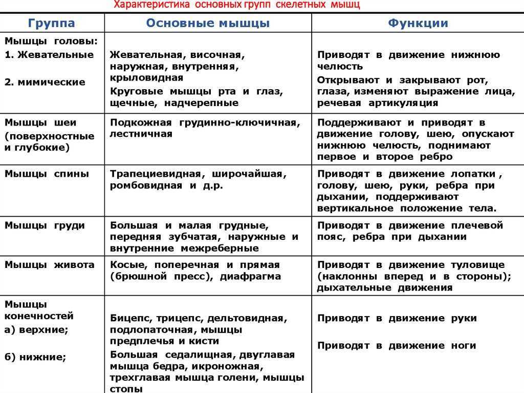 📻лучшие gnss-приемники с идеально точным результатом на 2023 год