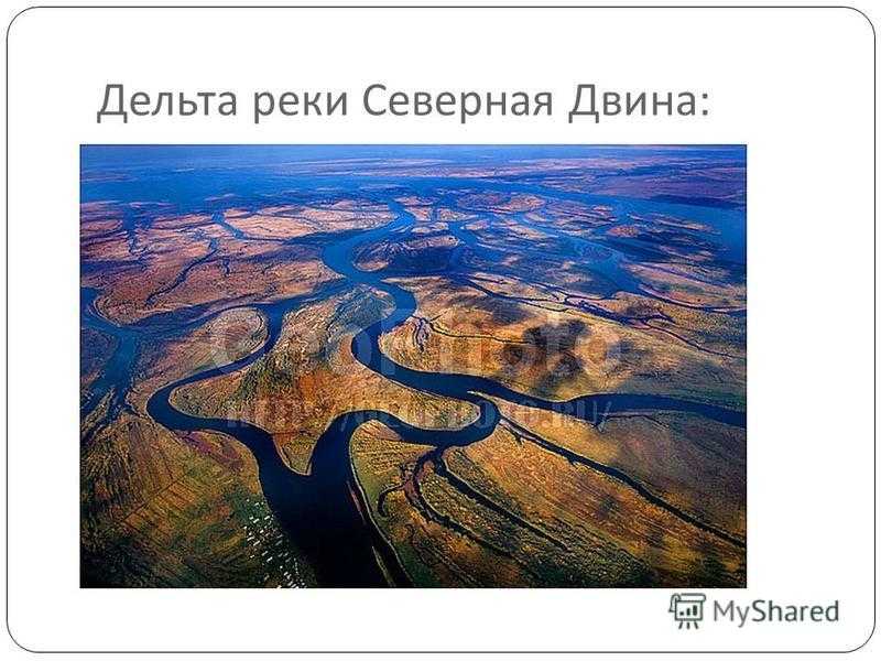 Река виктория (северная территория)