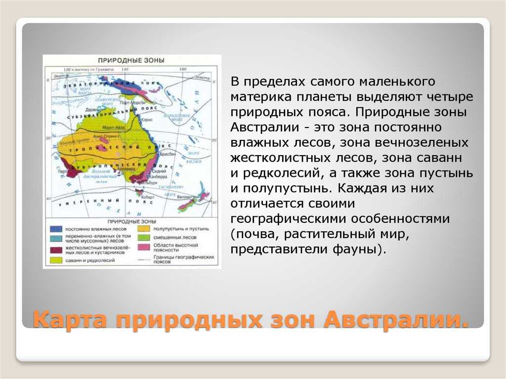 Природные зоны австралии – таблица, положение, какая занимает наибольшую площадь