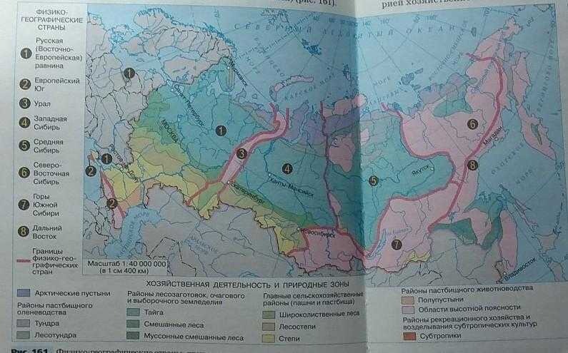 Крупные природные районы россии