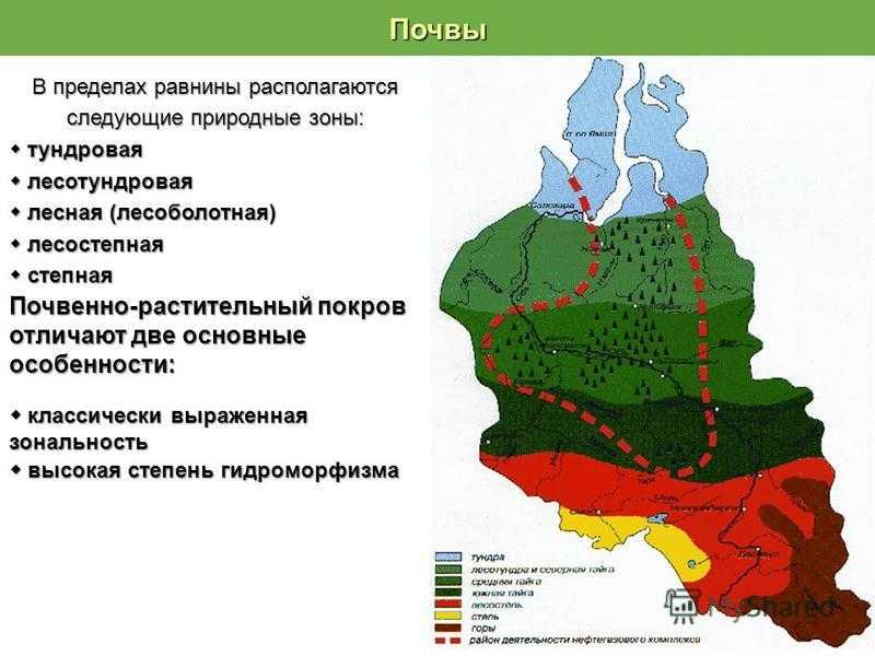 Какая природная зона отсутствует в западной сибири. Почвы Западной Сибири равнины. Природные зоны зоны Западно-сибирской равнины. Природные зоны и почвы Западной Сибири. Почвенный Покров Западно сибирской равнины.