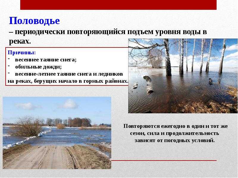 Доклад река амазонка 4, 5, 7 класс сообщение