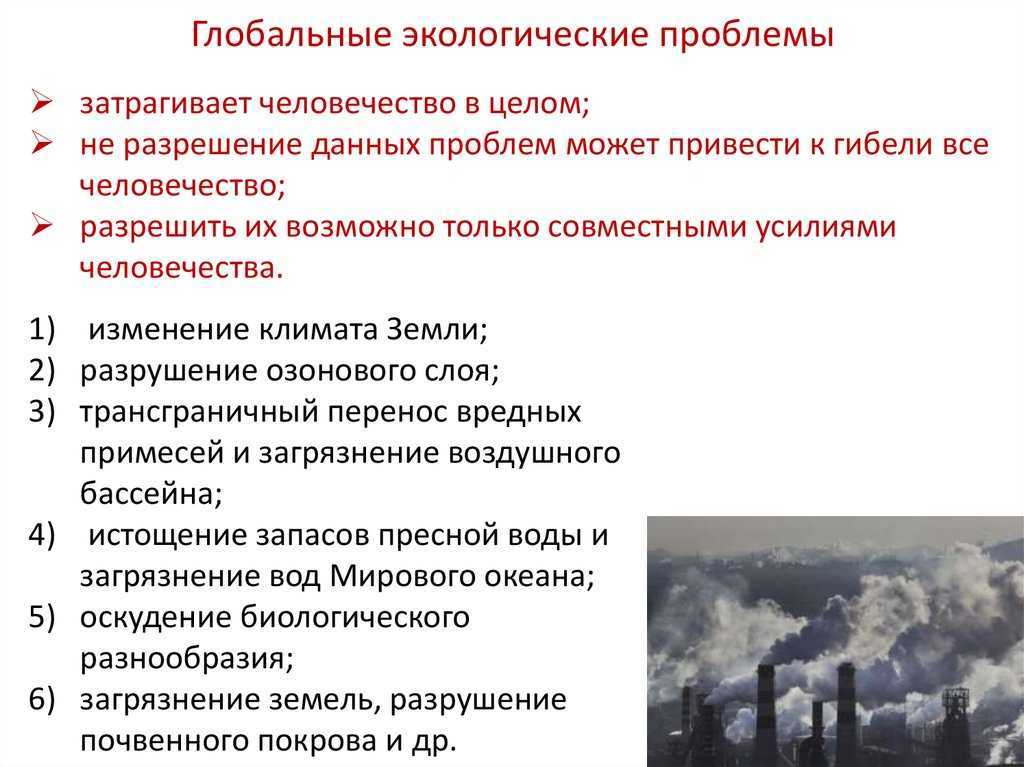Экологические проблемы планеты. виды, причины и пути решения